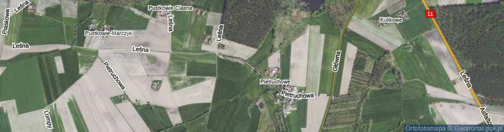 Zdjęcie satelitarne Pietruchowa ul.